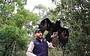 Wedge Tailed Eagle in Spirits of the Sky Show.