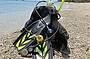 Dive gear on Fitzroy island Beach