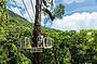 High above the canopy