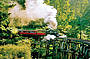 Puffing Billy