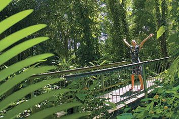 George Brown Botanic Gardens - Darwin