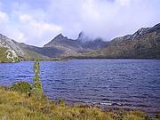 Cradle Mountain National Park Day Tour