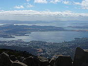 Mount Wellington (2hr) Morning Tour